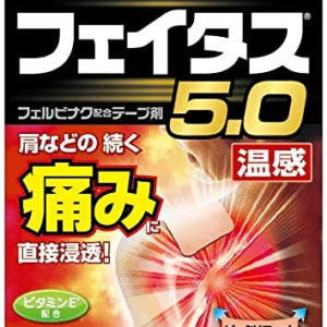 HISAMITSU PHARMACEUTICAL FATUS 5.0 WARMTH 10 SHEETS